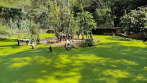 Thiruvananthapuram Zoo